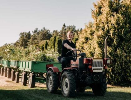 Szkółka roślin ozdobnych Bełchatów